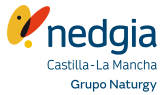 Nedgia Distribuidora Castela-A Mancha