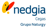 Nedgia Distribuidora Cegas Comunidad Valenciana